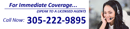 Florida auto insurance quote